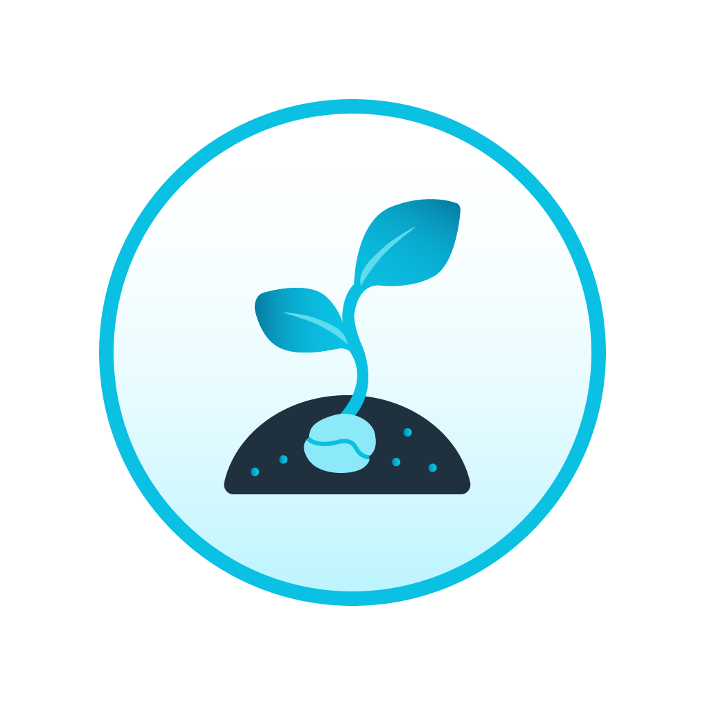 Seedling