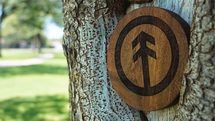 WunderTREE Wooden WunderTRE logo placed on tree close up